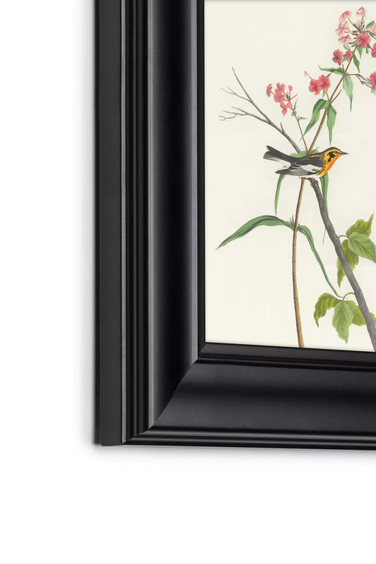 Classic Ritual - CR03